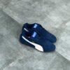 Speedcat- blue